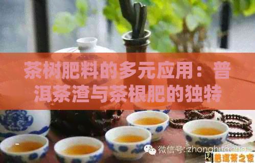 茶樹(shù)肥料的多元應(yīng)用：普洱茶渣與茶根肥的獨(dú)特組合教程