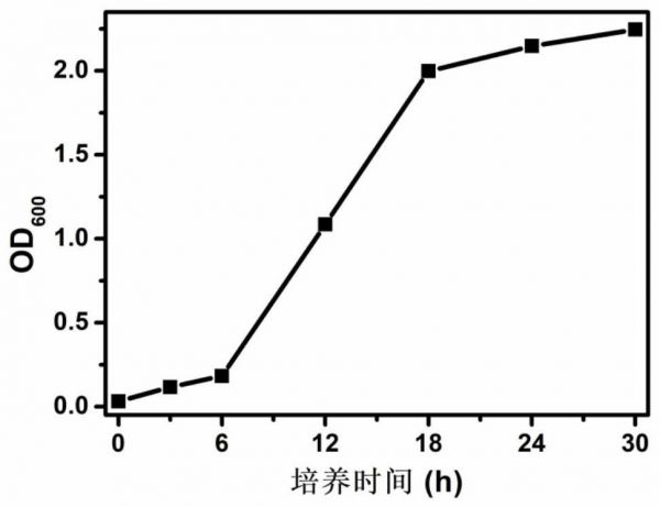 一種基于微生物菌株生物發(fā)酵茶泥廢渣的方法