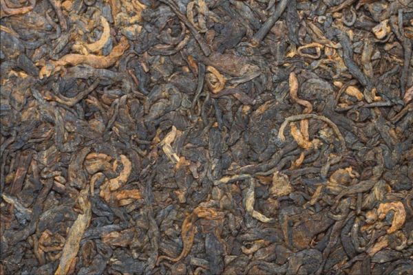發(fā)酵茶是“垃圾貨”，和“土坑酸菜”一樣臟，事情真的是這樣嗎？