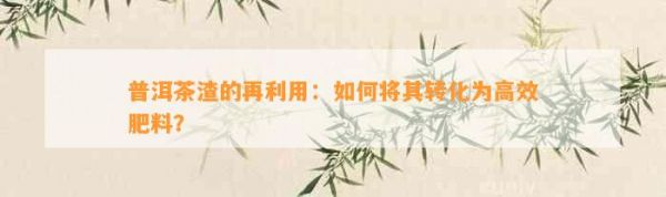 普洱茶渣的再利用：如何将其转化为高效肥料？