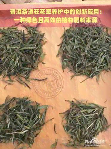 普洱茶渣在花草養(yǎng)護(hù)中的創(chuàng)新應(yīng)用：一種綠色且高效的植物肥料來源