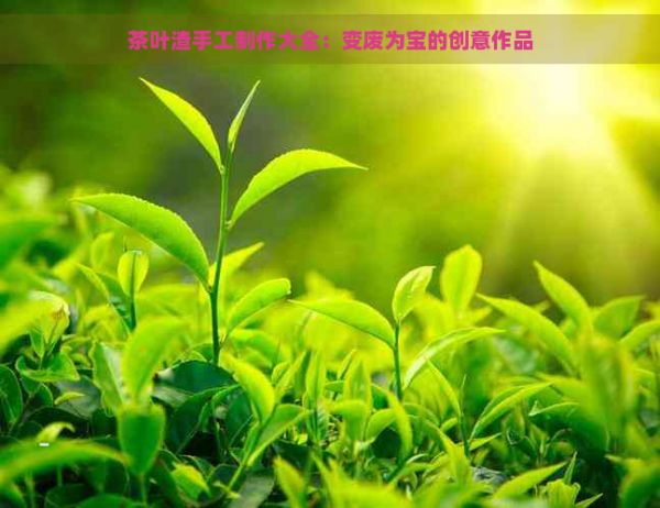 茶叶渣手工制作大全：变废为宝的创意作品