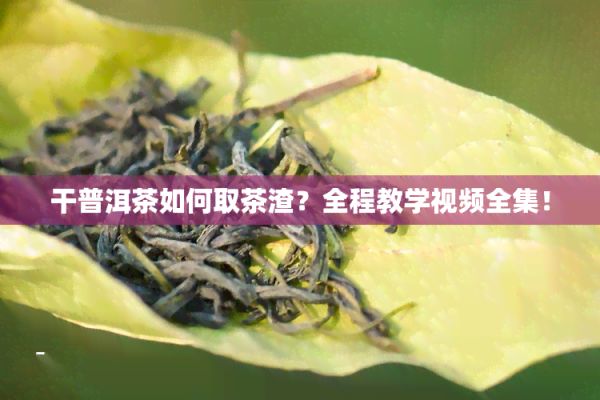 干普洱茶怎樣取茶渣？全程教學(xué)視頻全集！