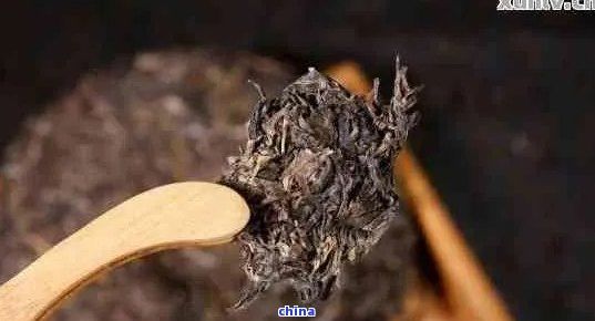 新 深度解析普洱茶饼的冲泡技术，揭示渣渣背后的原因