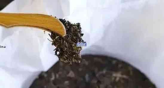 普洱茶渣子：一種被忽視的寶藏，如何解決使用難題？