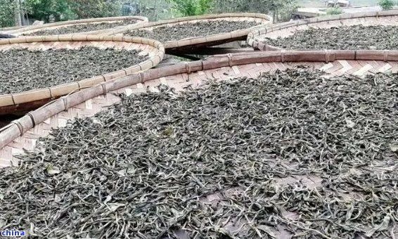 普洱茶渣子沉淀的原因及解決 