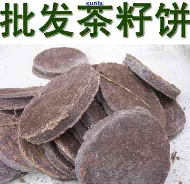 茶子渣餅的作用與功效解析