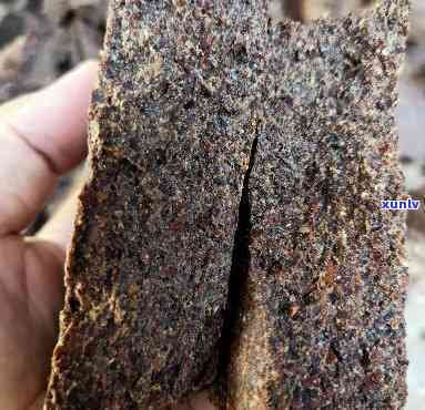 茶子渣餅的作用與功效解析