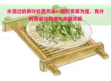 水泡過的茶葉處理方法：如何變廢為寶，充分利用茶葉殘?jiān)c步驟詳解