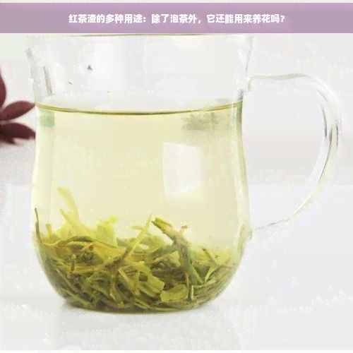 红茶渣的多种用途：除了泡茶外，它还能用来养花吗？