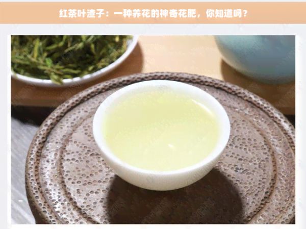 红茶叶渣子：一种养花的神奇花肥，你知道吗？