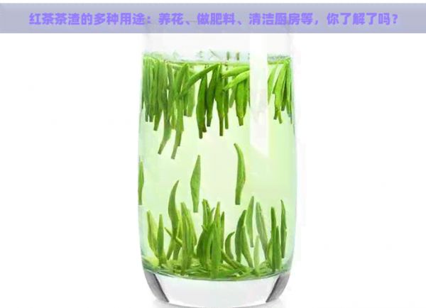 紅茶茶渣的多種用途：養(yǎng)花、做肥料、清潔廚房等，你了解了嗎？