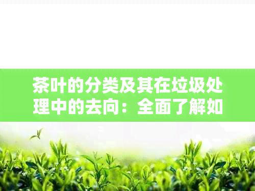 茶叶的分类及其在垃圾处理中的去向：全面了解如何正确处理茶叶垃圾