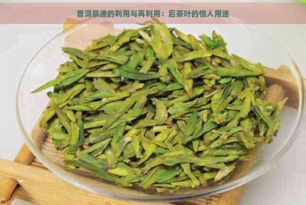 普洱茶渣的利用与再利用：后茶叶的惊人用途