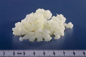 Kefir Yoghurt 開(kāi)菲爾酸奶的做法 步驟1