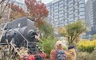 知名女歌手自曝患“不治之癥”，三年復(fù)發(fā)3次，極易誤診