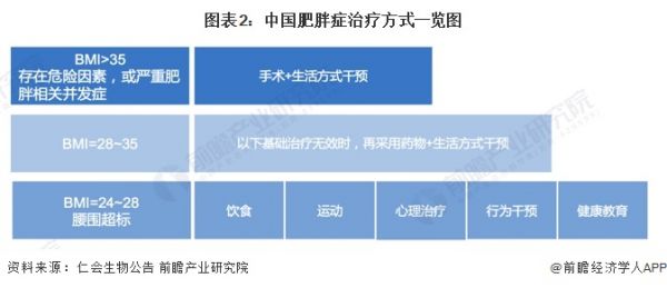 圖表2：中國肥胖癥治療方式一覽圖