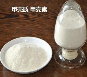 甲殼質(zhì)