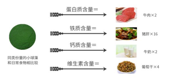 一直以来对小球藻的印象主要是“代替蔬菜的原料”，近20年的学术研究有了很⼤的进展，渐渐进化为“全营养食品功能性原料” 的 "超级食品" 的定位