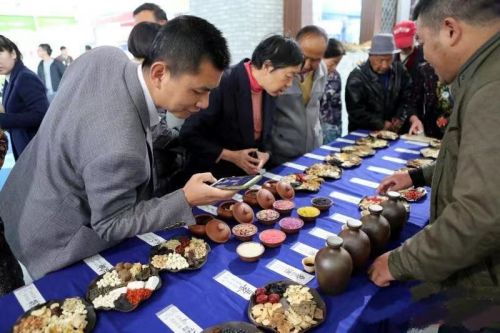 虫升升：昆虫科技健康新动力 诚邀加盟共赢未来