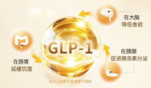 點(diǎn)擊查看原始圖片