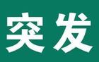 【突发】总经理、副总经理被批捕