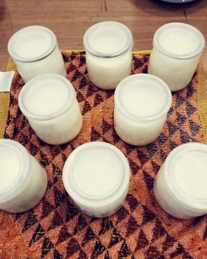 自制健康低脂酸奶的做法 步驟6