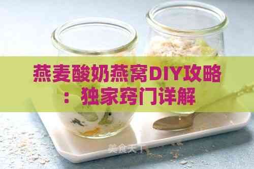 燕麦酸奶燕窝DIY攻略：独家窍门详解