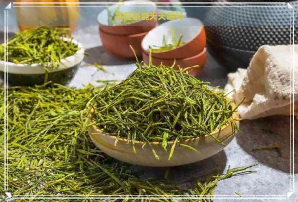 減肥茶能天天喝嗎