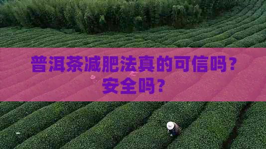 普洱茶减肥法真的可信吗？安全吗？