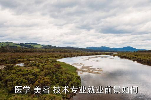  醫(yī)學(xué) 美容 技術(shù)專業(yè)就業(yè)前景如何