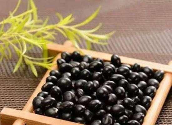 黑豆的營養(yǎng)價值和健康功效（探究黑豆的抗氧化、減肥和防癌功效）