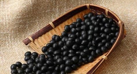 黑豆的營養(yǎng)價值和健康功效（探究黑豆的抗氧化、減肥和防癌功效）