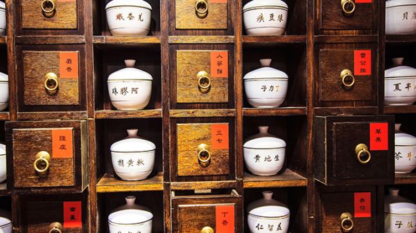 人體所需的營養(yǎng)物質(zhì)