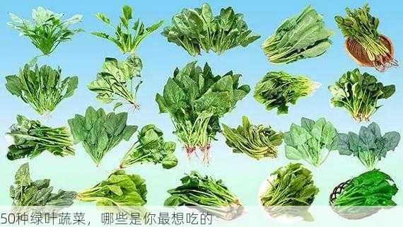 50種綠葉蔬菜，哪些是你最想吃的