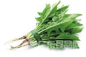 多吃綠葉蔬菜能抗黃曲霉毒素