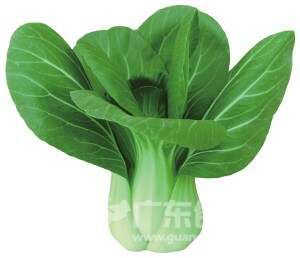 多吃綠葉蔬菜能抗黃曲霉毒素