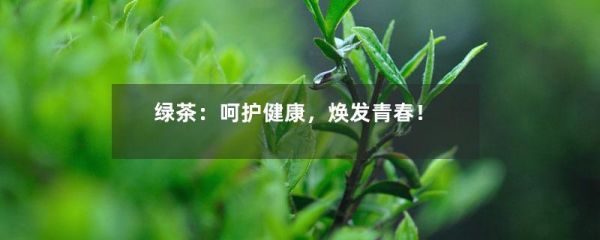 绿茶：呵护健康，焕发青春！-第1张-绿茶-凤凰单丛茶网