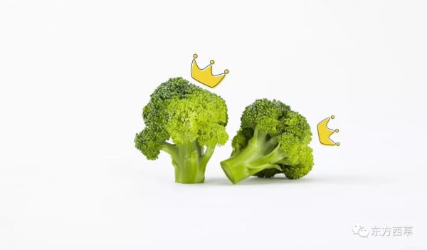 【知因果素】西蘭花光鮮美譽背后的“大功臣”-蘿卜硫苷！