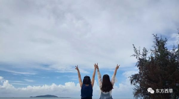 【知因果素】西蘭花光鮮美譽背后的“大功臣”-蘿卜硫苷！
