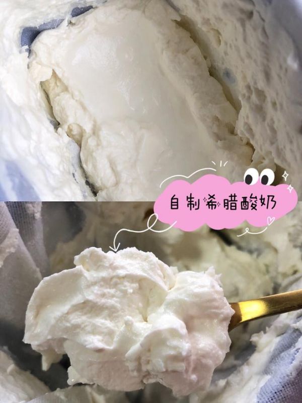 自制希臘酸奶的做法