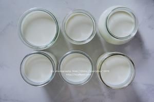 奶牛家的超easy自制健康無(wú)糖酸奶的做法 步驟2