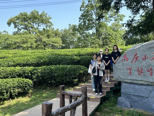 茶慧创革：环保与创新的青春华章