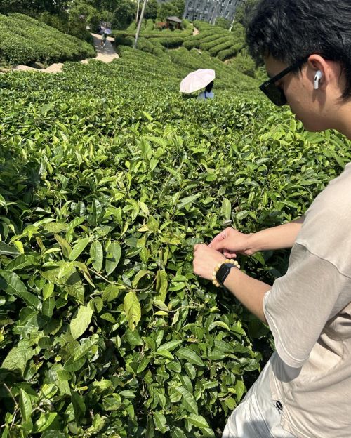 茶慧创革：环保与创新的青春华章