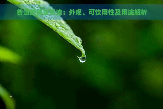 普洱茶熟茶茶渣：外观、可饮用性及用途解析