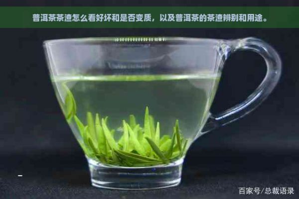 普洱茶茶渣怎么看好壞和是否變質(zhì)，以及普洱茶的茶渣辨別和用途。