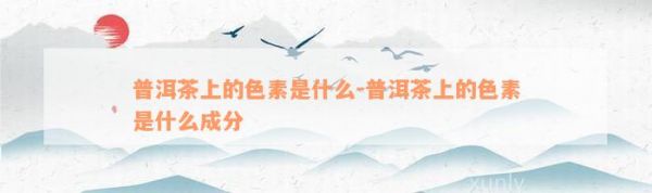 普洱茶上的色素是什么-普洱茶上的色素是什么成分