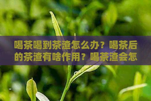 喝茶喝到茶渣怎么办？喝茶后的茶渣有啥作用？喝茶渣会怎么样？