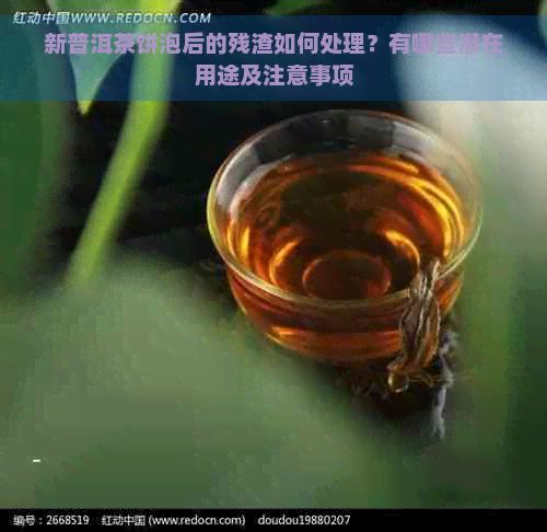 新普洱茶餅泡后的殘渣如何處理？有哪些潛在用途及注意事項