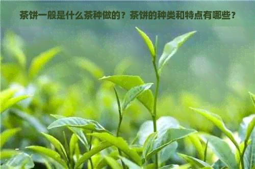 茶餅一般是什么茶種做的？茶餅的種類和特點有哪些？